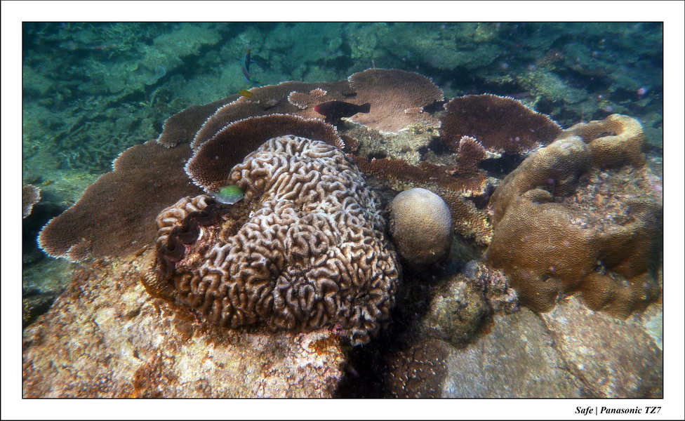 2009   07   Perhentians 082